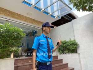 NDS Professional Security Guard