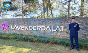 Bảo vệ Ngày Đêm tại khu du lịch Lavender Đà Lạt