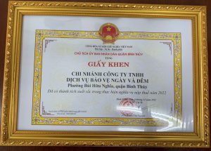 Bao ve ngay va dem hoan thanh xuat sac nghia vu thue