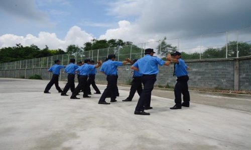 Dịch vụ vệ sĩ chuyên nghiệp VLS Hà Nội