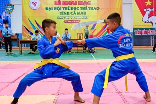 Màu vàng: tượng trưng cho màu của Vương đạo Á đông, đối với một võ sinh thì màu vàng thể hiện tinh thần võ đạo đã dần dần bắt đầu ngấm vào vào da thịt và tâm hồn.