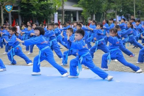 Màu xanh: tượng trưng cho hy vọng và biển cả, đối với một võ sinh thì màu xanh thể hiện sự tu dưỡng tinh thần võ đạo.