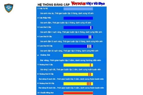 Những cấp độ của môn võ Vovinam Việt Võ Đạo