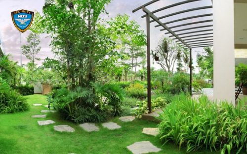 Bạn nên dọn dẹp sân vườn thường xuyên