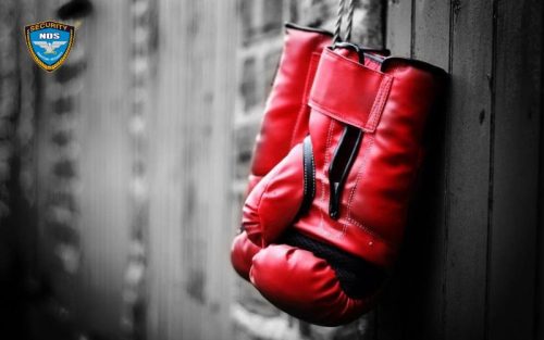 Bao tay Boxing tự vệ