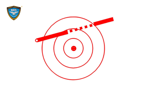 Các mối nguy hiểm về điện từ nguồn điện cảm ứng