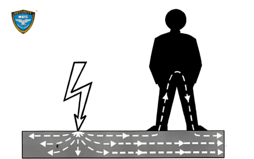 Giật điện do điện áp bước