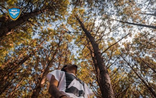 Xác định phương hướng