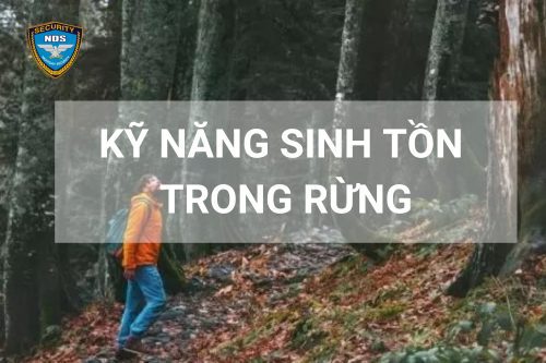 kỹ năng sinh tồn trong rừng