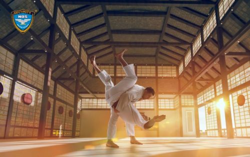 Tổng hợp các loại võ phổ biến tại Việt Nam