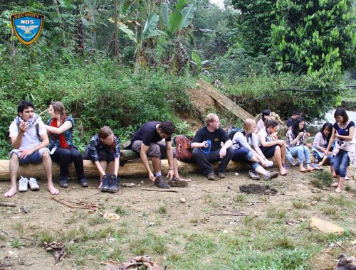 Không di chuyển lung tung trong rừng