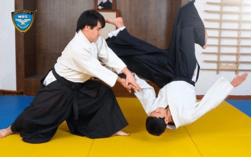 Võ Aikido