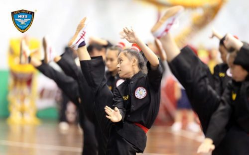 Võ Cổ truyền Việt Nam