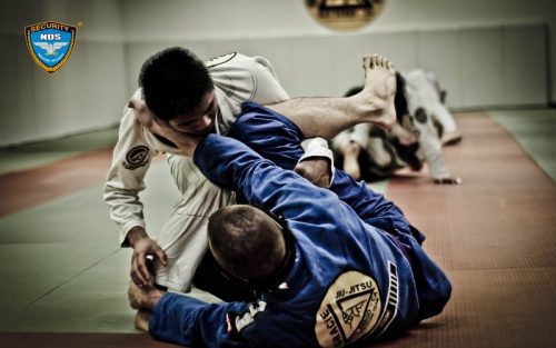 Võ Jujitsu tự vệ
