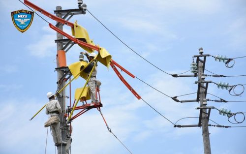 Sào điện cứu hộ - Thiết bị bảo vệ phổ biến trong ngành công nghiệp điện