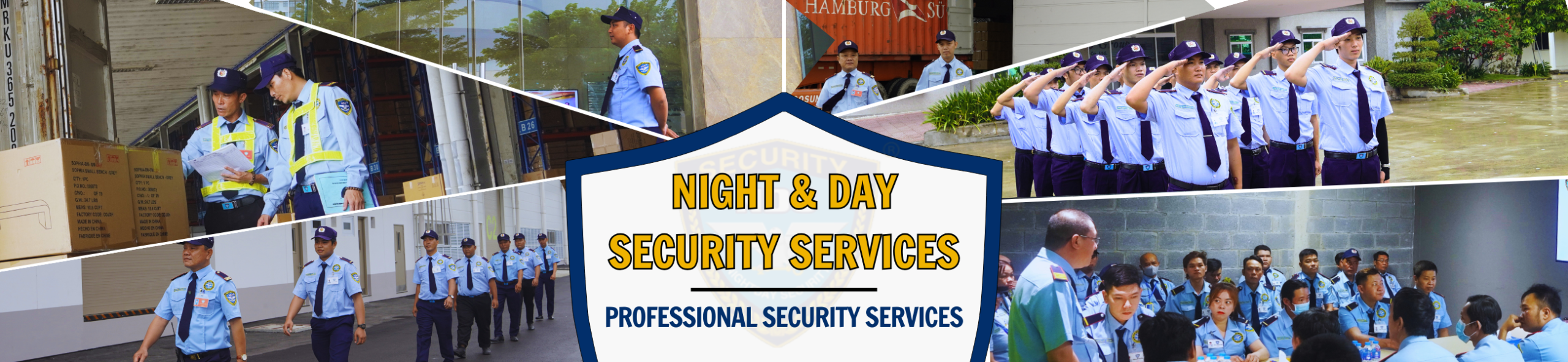 Professional security services